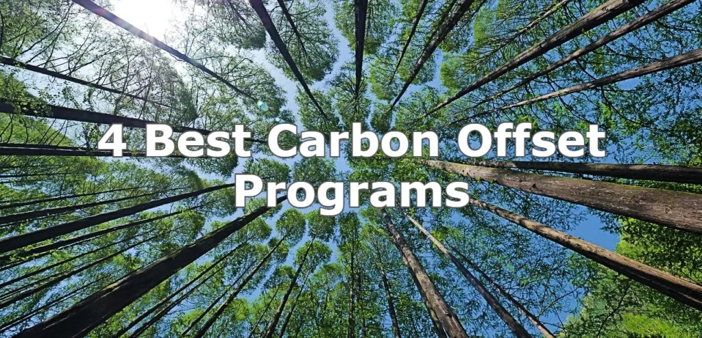 Top 10 Carbon Offset Projects That Are Changing the World