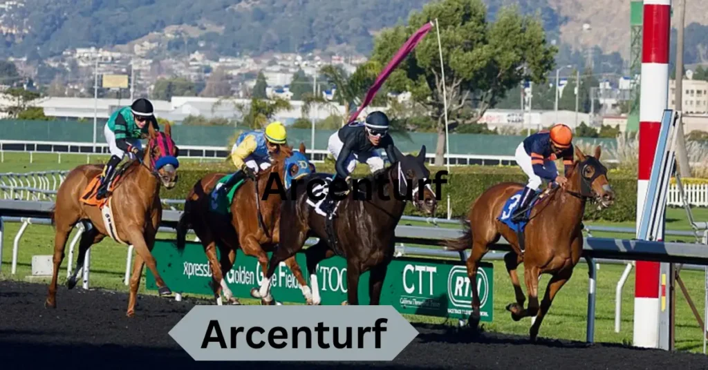 Arcenturf – A Comprehensive Guide to Horse Racing and Betting in Burkina Faso Arcenturf