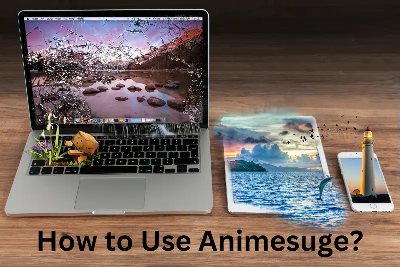 How to Use Animesuge?