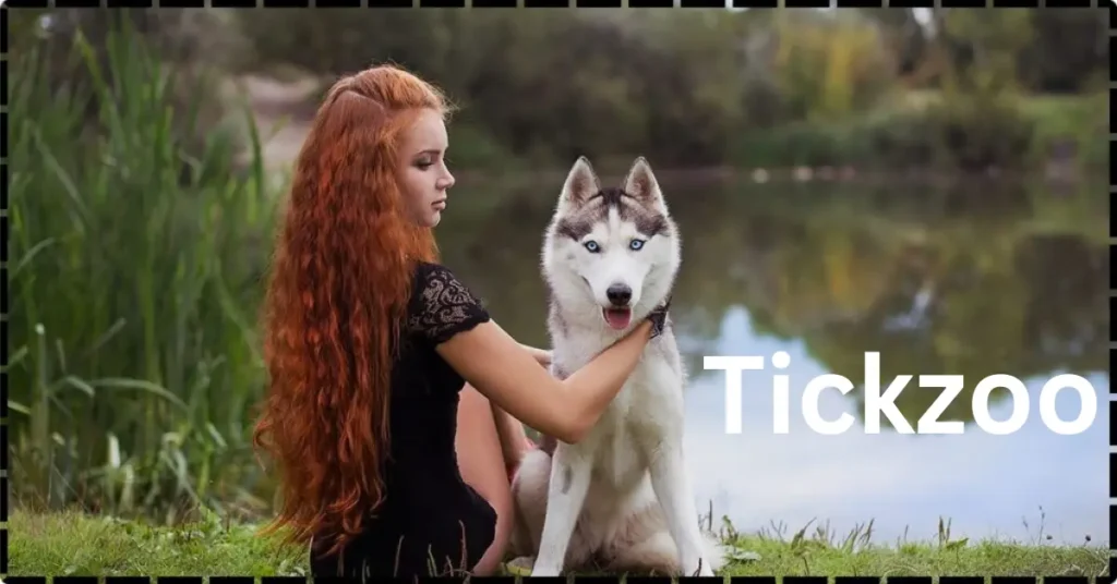 Tickzoo – An In-Depth Look at the Controversial Platform and Its Impact Tickzoo