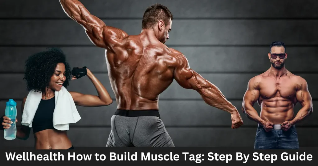 Wellhealth How to Build Muscle Tag: Step By Step Guide Wellhealth How to Build Muscle Tag Step By Step Guide