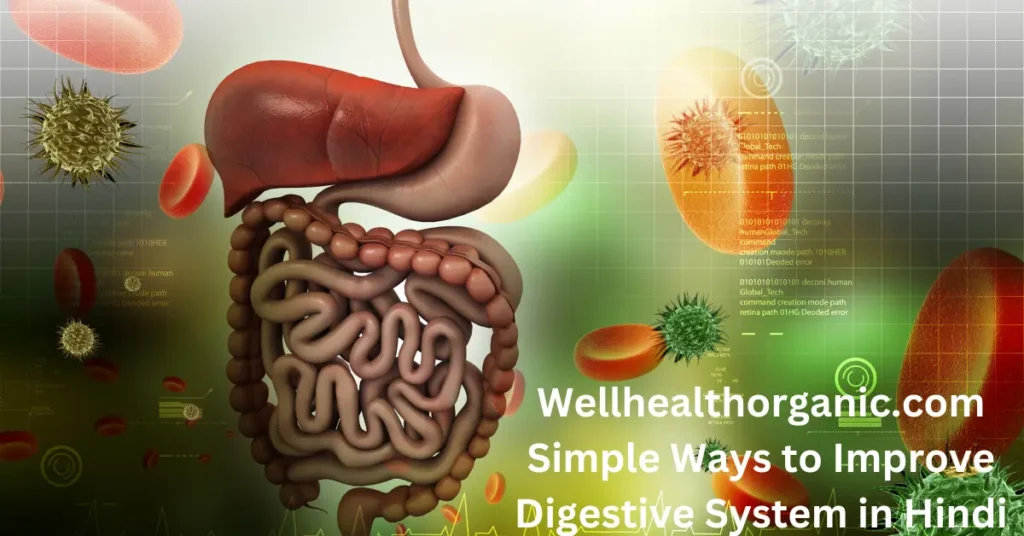 Wellhealthorganic.com Simple Ways to Improve Digestive System in Hindi