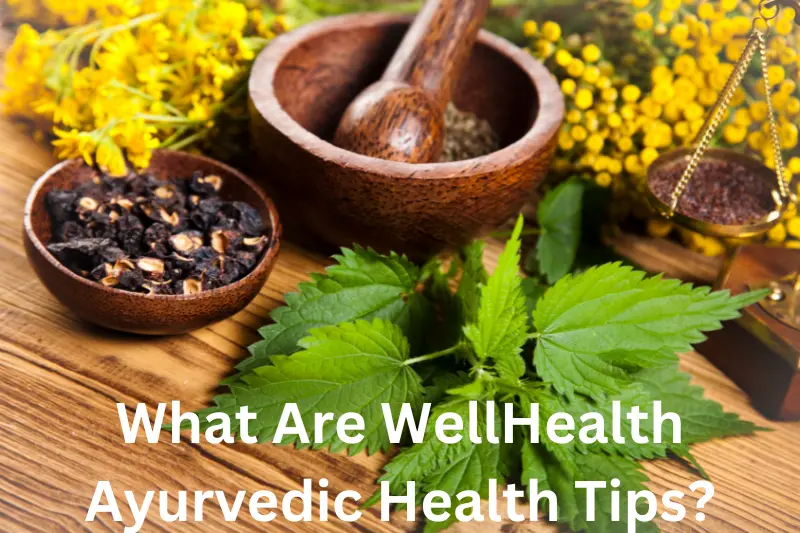 What Are WellHealth Ayurvedic Health Tips?