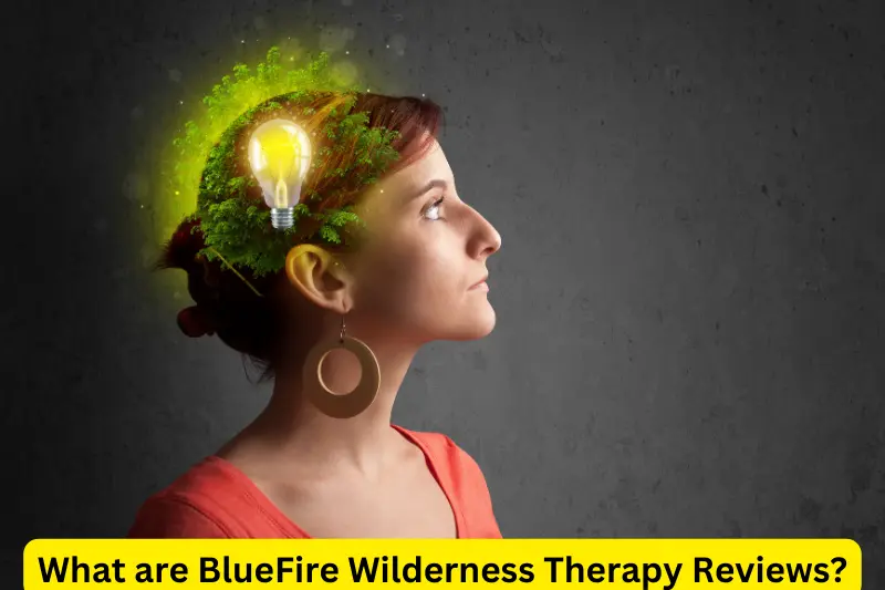 What are BlueFire Wilderness Therapy Reviews?