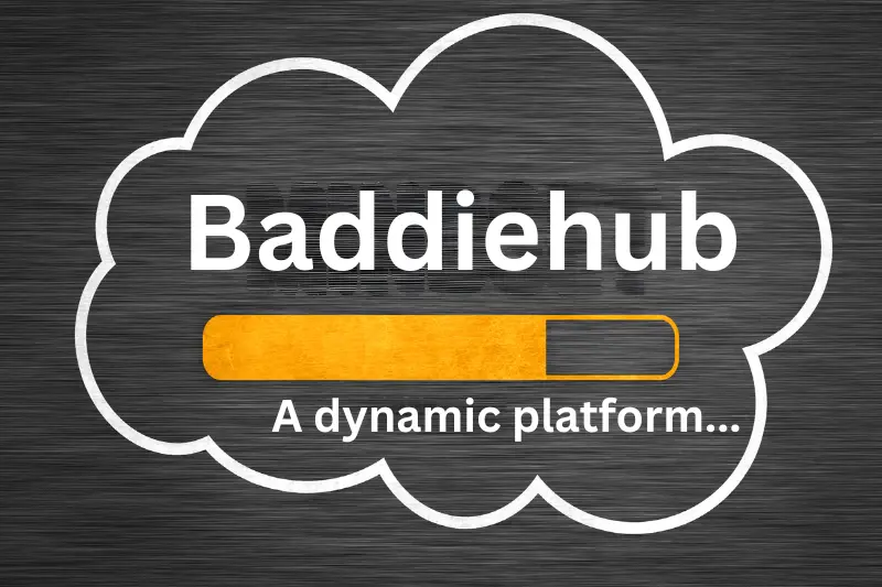 What is Baddiehub?
