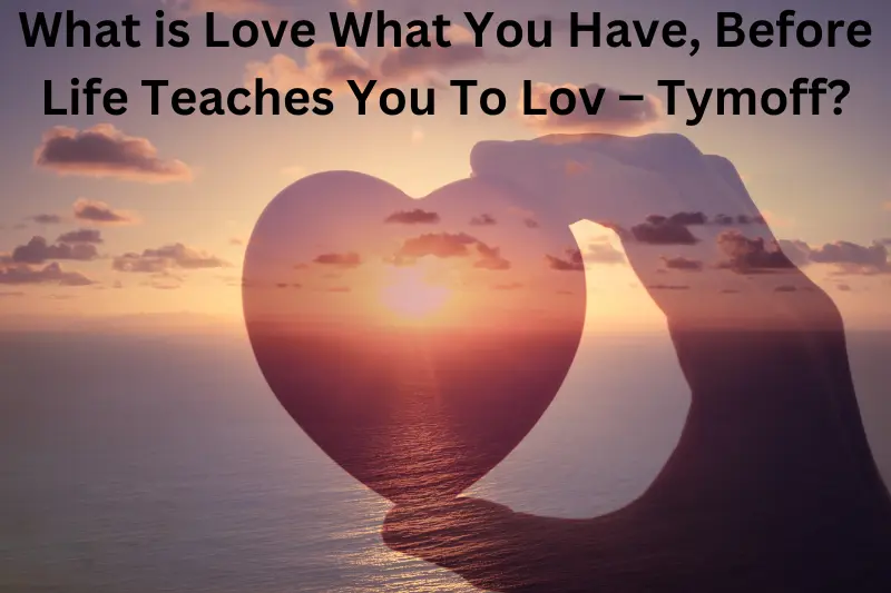 What is Love What You Have, Before Life Teaches You To Lov – Tymoff
