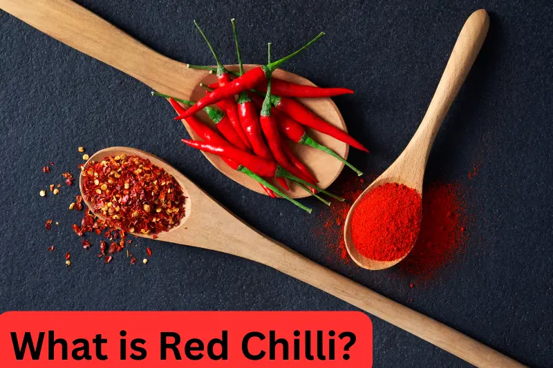 What is Red Chilli?