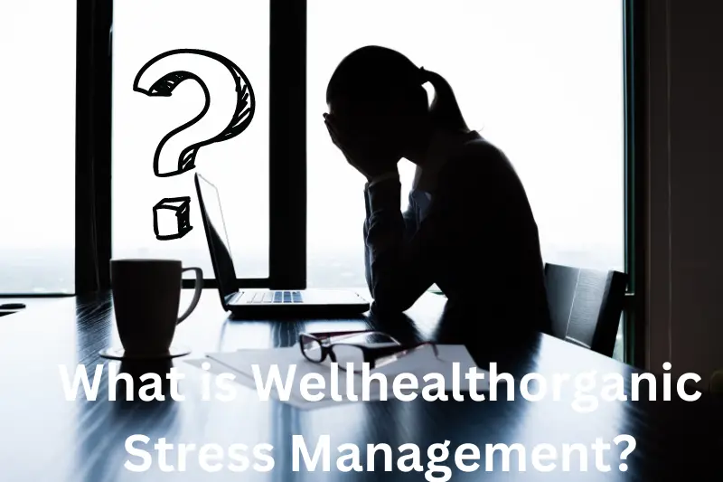 What is Wellhealthorganic Stress Management