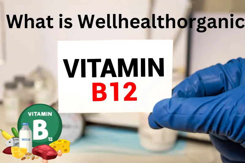 What is Wellhealthorganic Vitamin B12