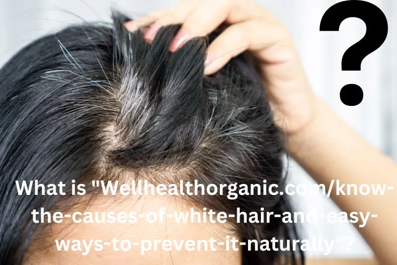 What is Wellhealthorganic.comknow-the-causes-of-white-hair-and-easy-ways-to-prevent-it-naturally?