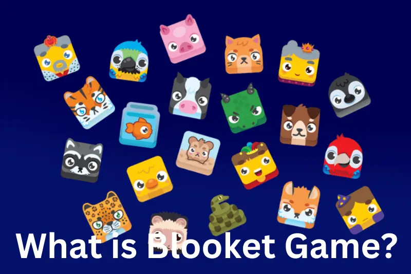 What is blooket game