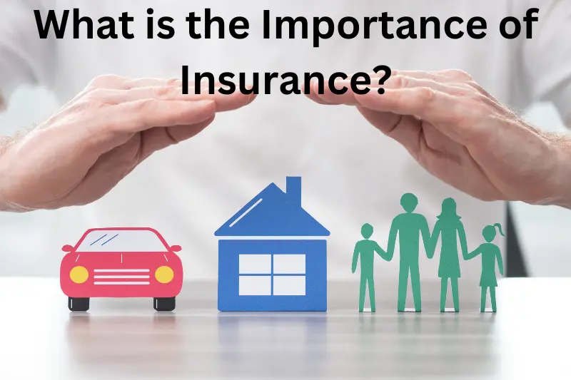 What is the Importance of Insurance