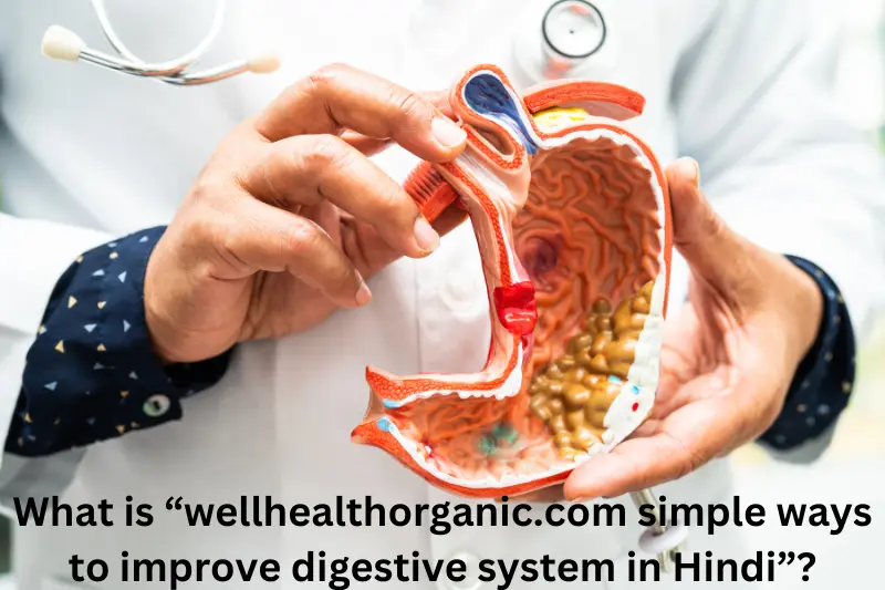 Wellhealthorganic.com Simple Ways To Improve Digestive System In Hindi