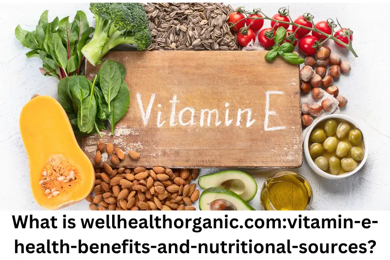 What is wellhealthorganic.com:vitamin-e-health-benefits-and-nutritional-sources?
