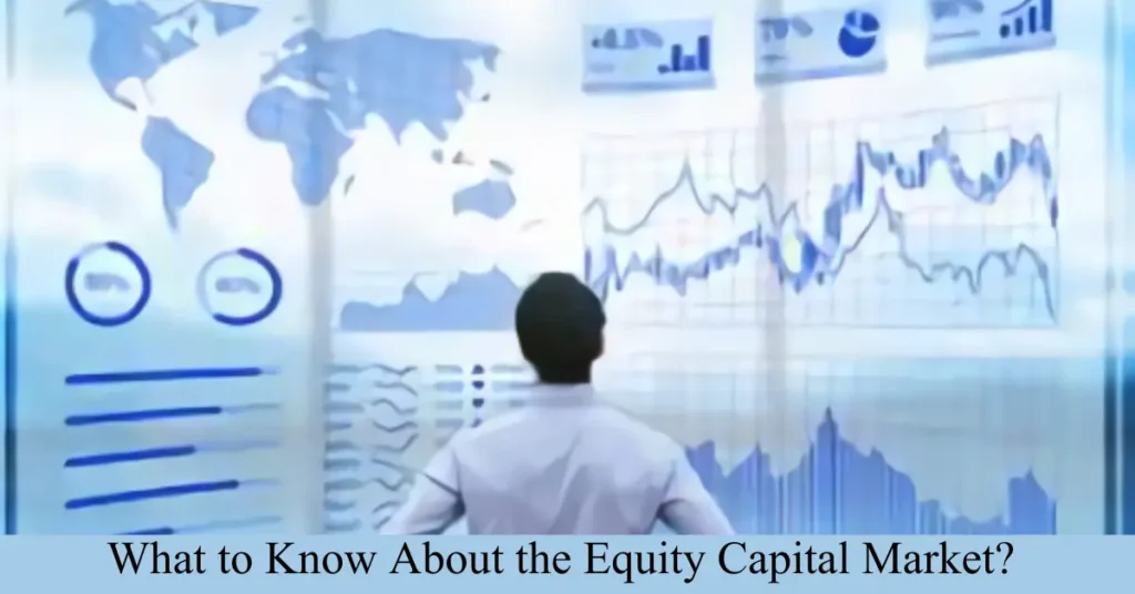 What to Know About the Equity Capital Market?