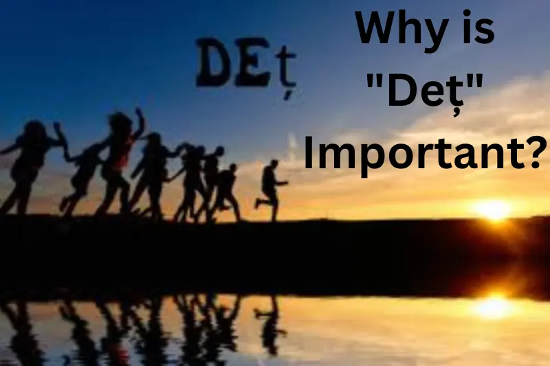 Why is Deț Important?