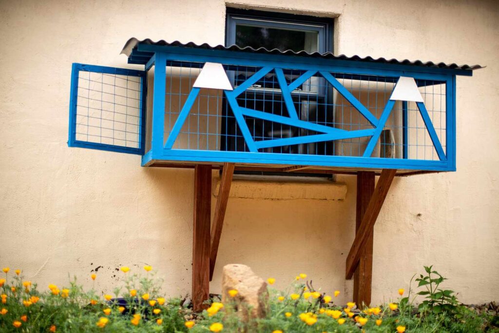 Creative and eye-catching Catio Designs for Your Next DIY Project