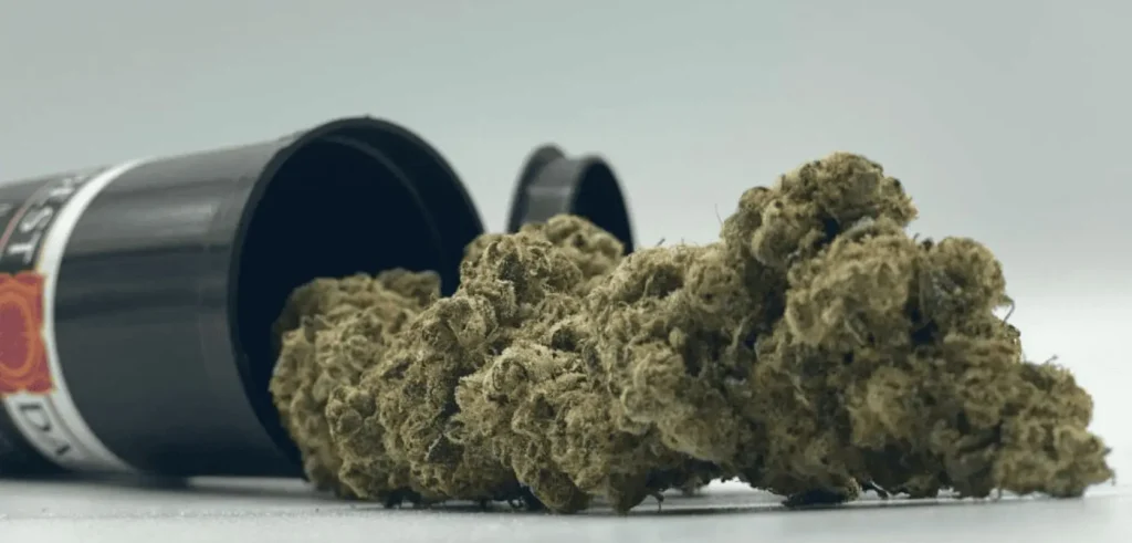 How to Choose the Best Online Dispensary in Canada how to choose the best online dispensary in canada