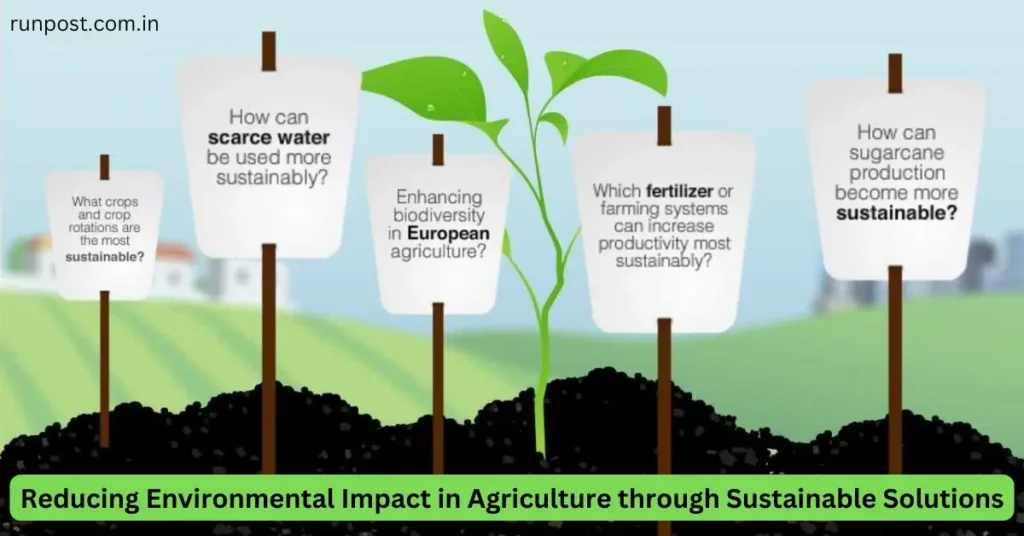 Reducing Environmental Impact in Agriculture through Sustainable Solutions