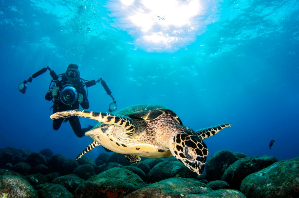 3 Tips for Those Wanting to Start Underwater Photography